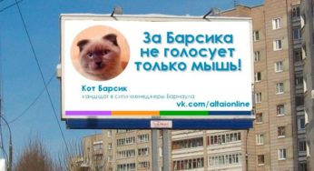 Кот Барсик устроил пикет у Центробанка в надежде встретиться с Эльвирой Набиуллиной (видео)
