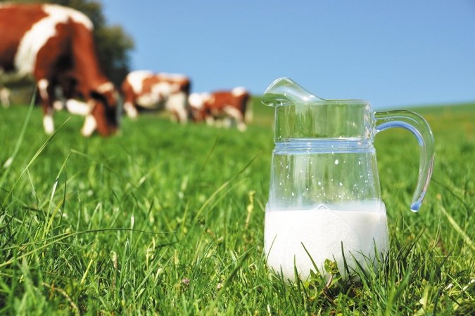 Молочный край: Алтай – лидер по объемам потребления молочных продуктов