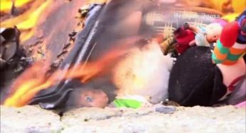 На Алтае уничтожили тысячу черепах и светящихся мячей