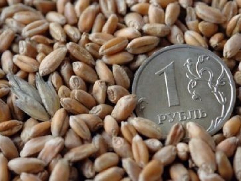Сверхдешевые кредиты для аграриев собираются ввести в России