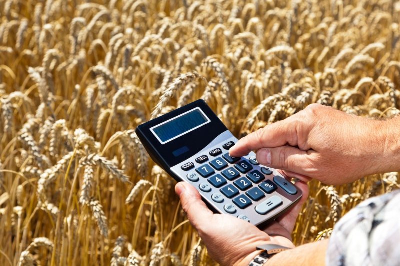 Россельхозбанк и Минсельхоз подписали соглашение о льготном кредитовании аграриев по ставке 5 процентов