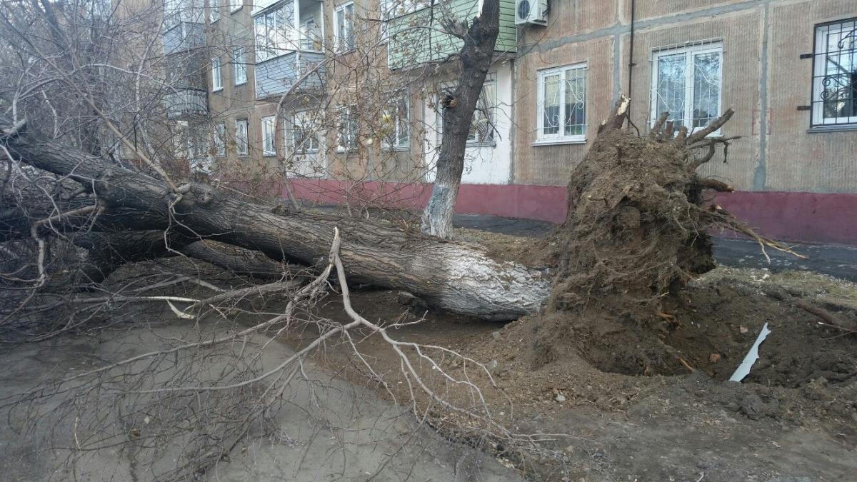 На Алтайский край надвигается шторм: 6-7 мая погода резко ухудшится