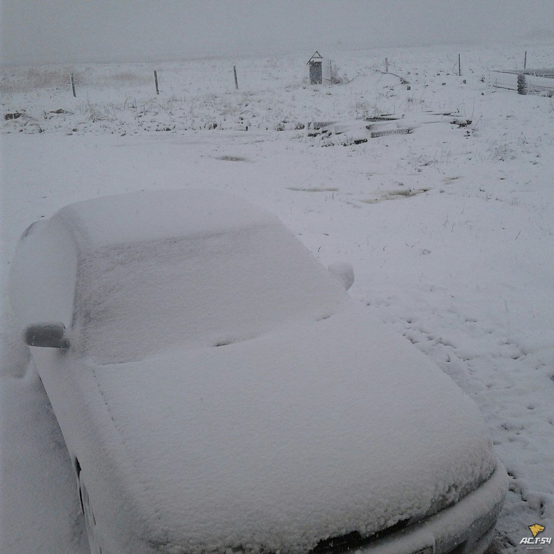 Новосибирск завалило снегом (фото)