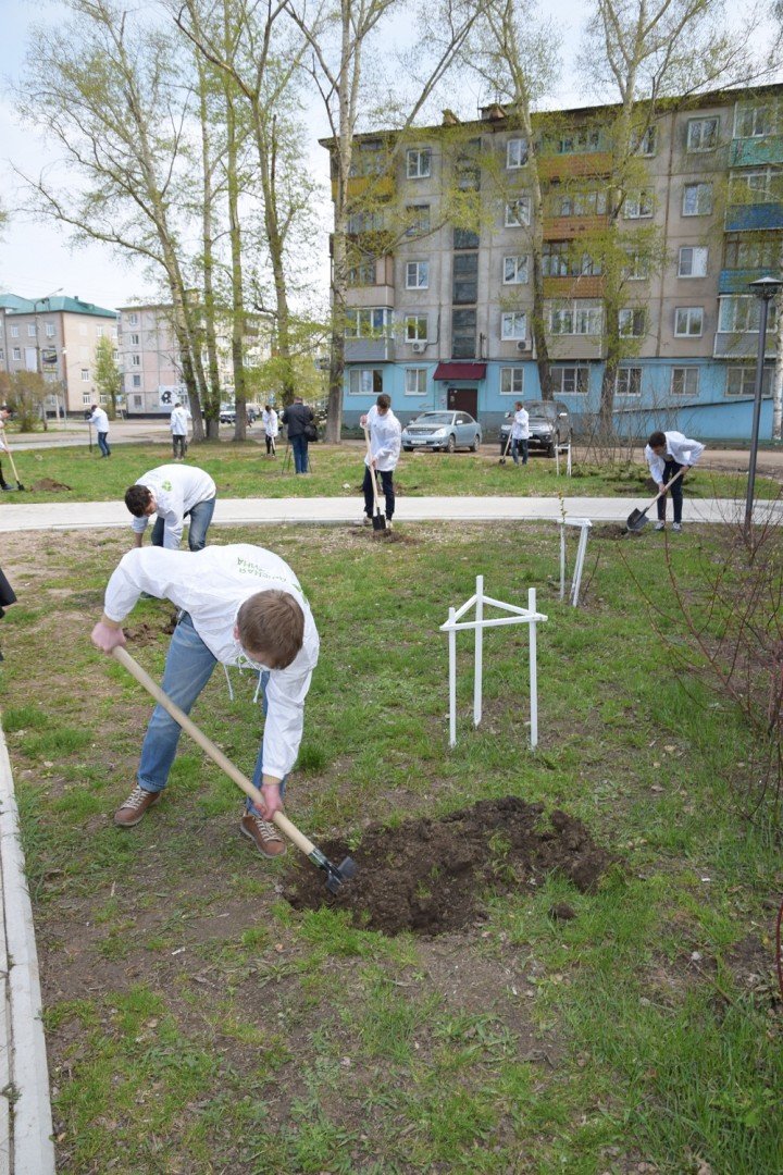 «Зеленая дружина» к 9 мая высадила в Рубцовске 130 деревьев