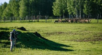 Федеральные “Вести” рассказали о сельском туризме на Алтае