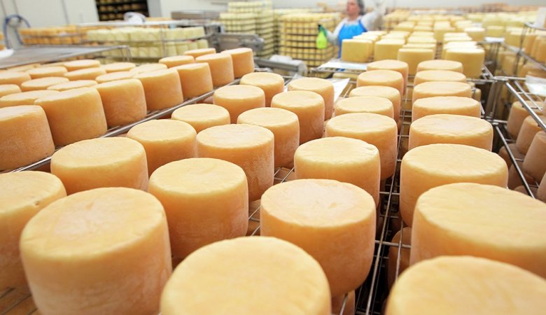 Эксперты жалуются  на недостаточный рост производства сыра в России