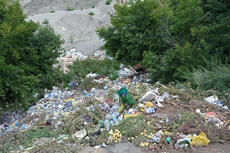 Ученые назвали сумму для решения проблемы мусорных свалок на Алтае