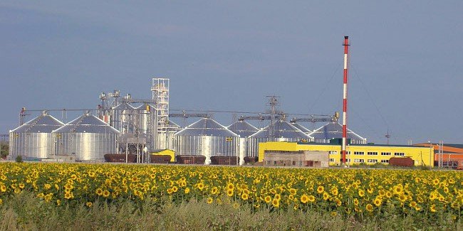 Алтайский аграрный холдинг попал в ТОП-50 крупнейших компаний АПК страны