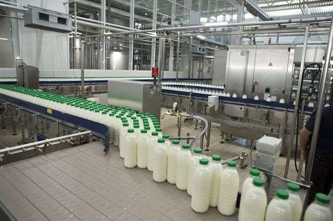 Завод по производству молока откроет кооператив Смоленского района