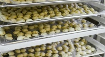Производство полуфабрикатов запустила компания “Курорт Белокуриха”