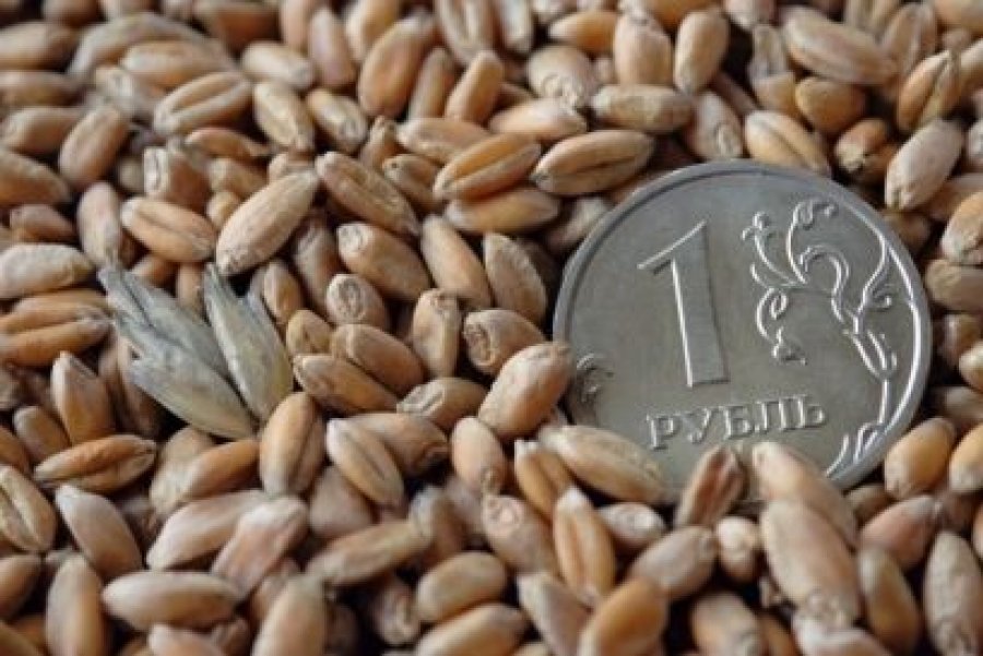 Алтайские аграрии оказались в кредитной петле из-за низких цен на зерно