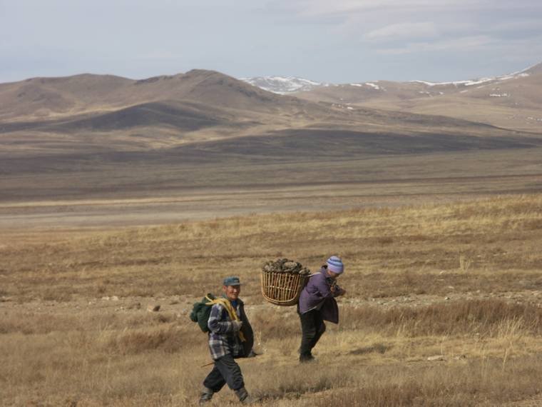 В алтайском минсельхозе рассказали об "экспортном нашествии" в Монголию
