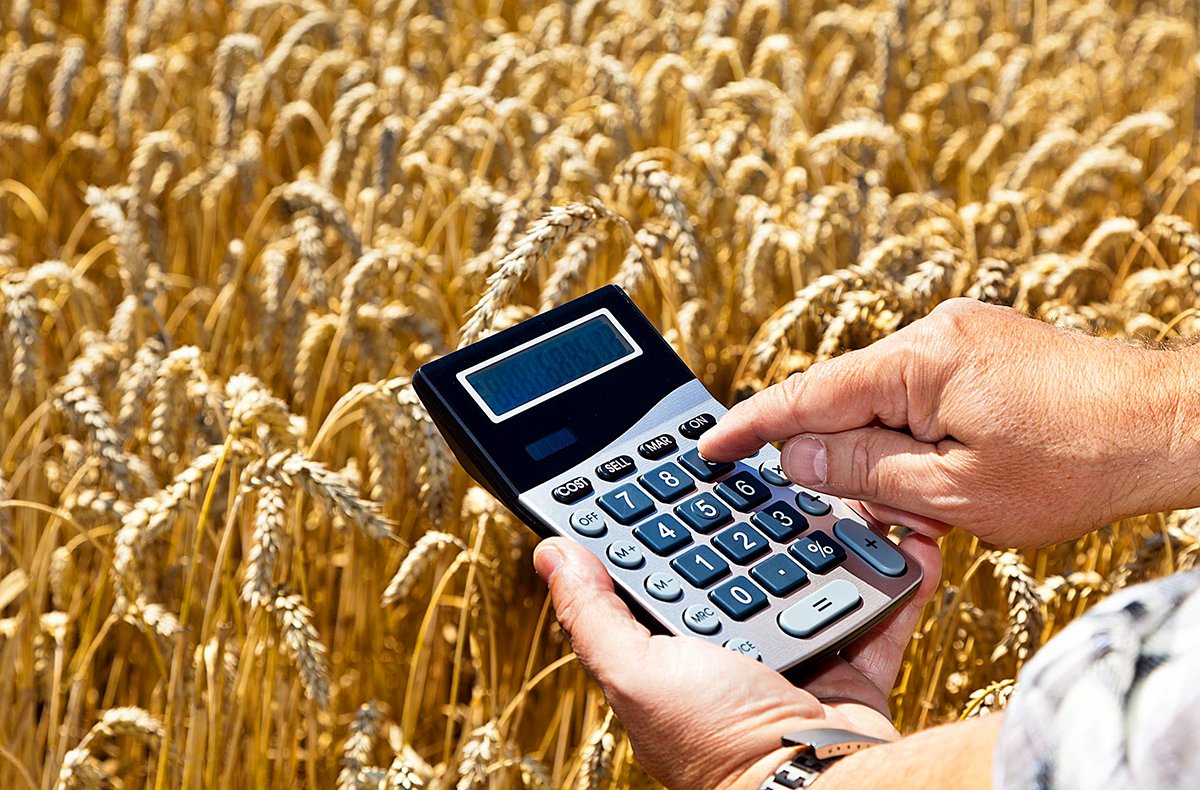 Для многих аграрных производителей Алтая изменится модель взимания налогов