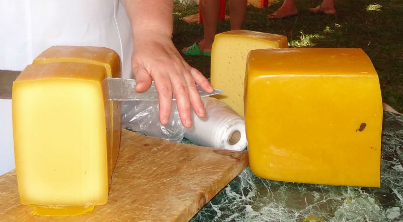 Минсельхоз РФ отметил лидерство Алтая среди производителей сыра в стране