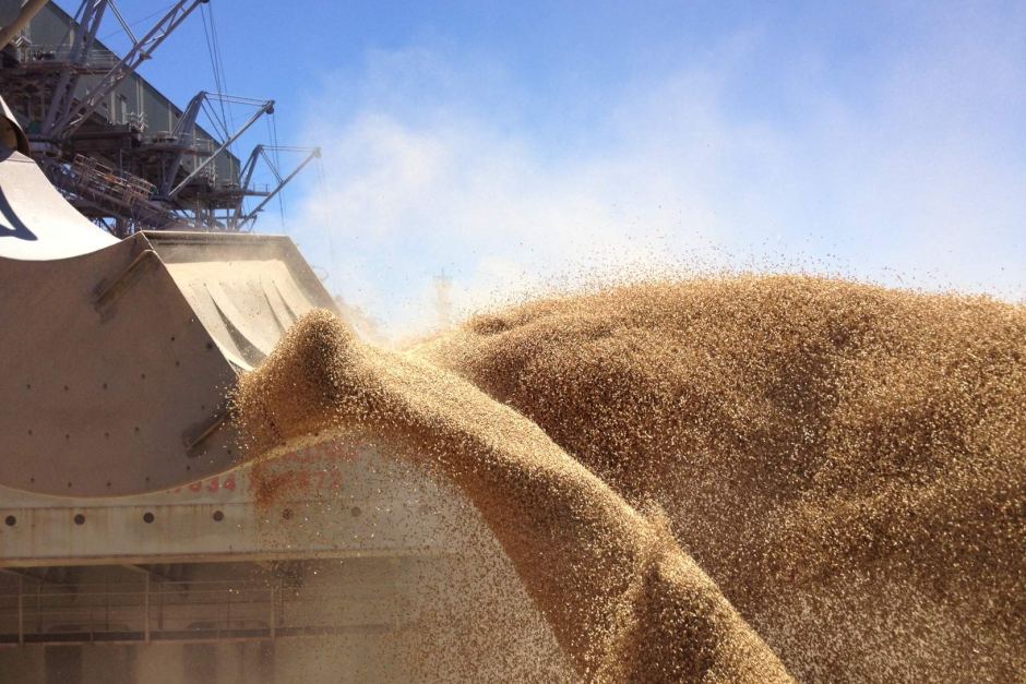 Россия стала вторым зерновым экспортером в мире