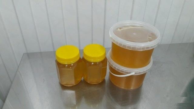 Пчеловоды Алтая надеются получить в 2018 году хороший урожай меда