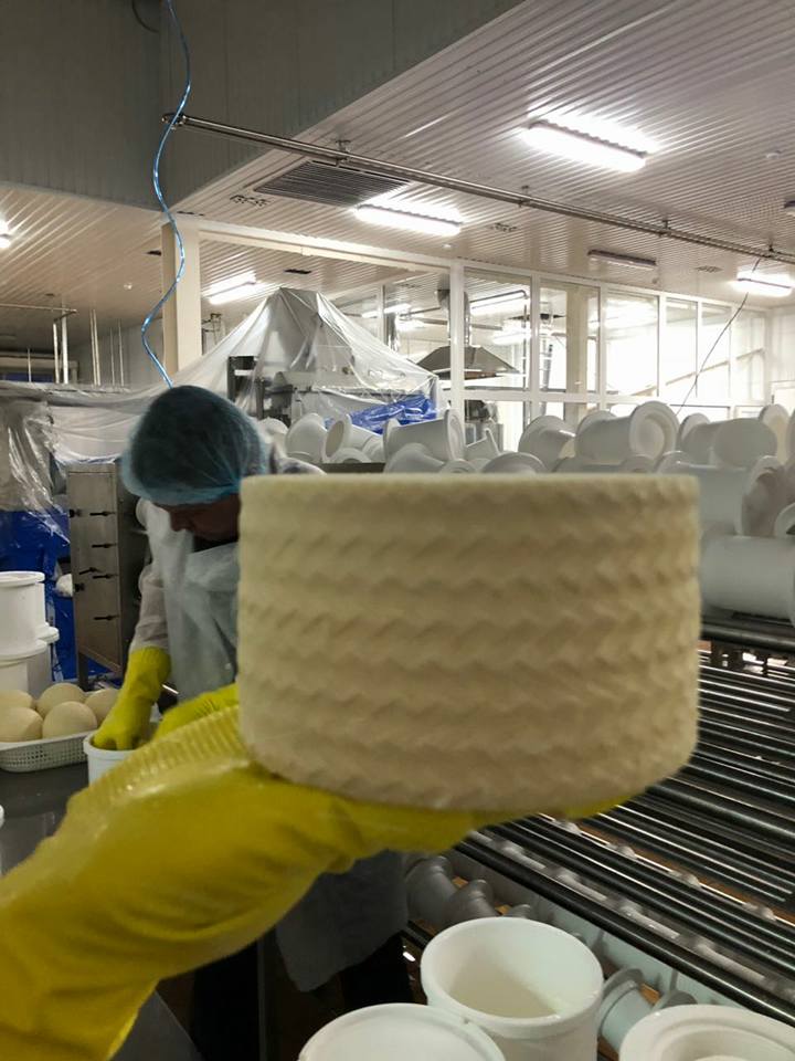 Сыроварня известного алтайского IT-предпринимателя выдала первый сыр