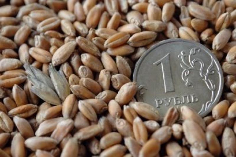 Цена на зерно в Алтайском крае увеличилась на 13 процентов