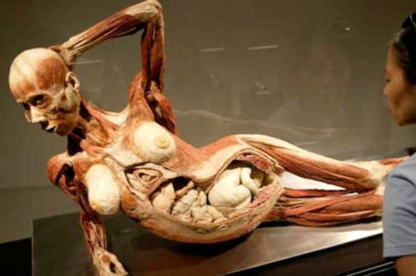Выставки пластинированных тел людей – вызов человеческой нравственности