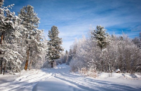 Погода 17 декабря в Алтайском крае: небольшой снег и до -11 градусов
