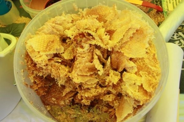 Алтайские специалисты рассказали о микрофлоре мёда