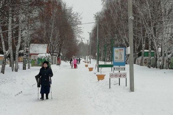 Эко-активисты будут пикетировать против спорткомплекса в парке Барнаула