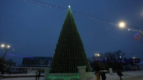Когда и как откроют главную новогоднюю елку Барнаула
