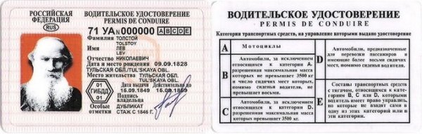 Житель Рубцовска осуждён за поддельные водительские права