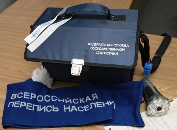 ХОЧУ ВСЕ ЗНАТЬ О ПЕРЕПИСИ: НАЧАЛ РАБОТУ САЙТ ВПН-2020