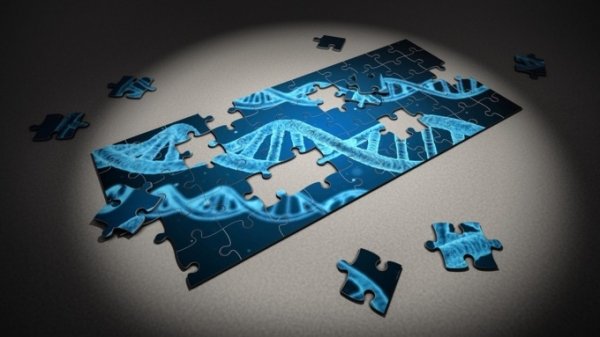 Генетик запустит приложение знакомств по ДНК