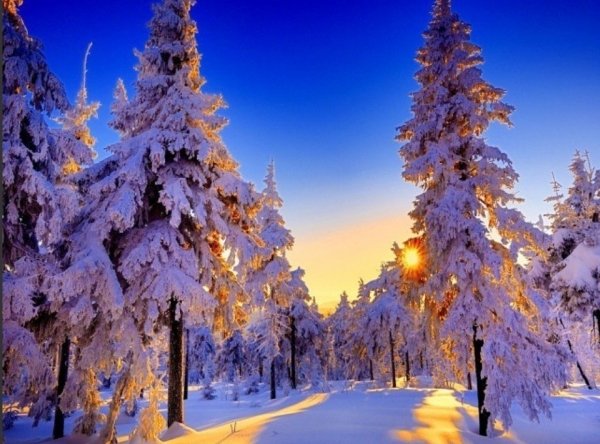 Погода 24 декабря в Алтайском крае: снег, метель, ветер