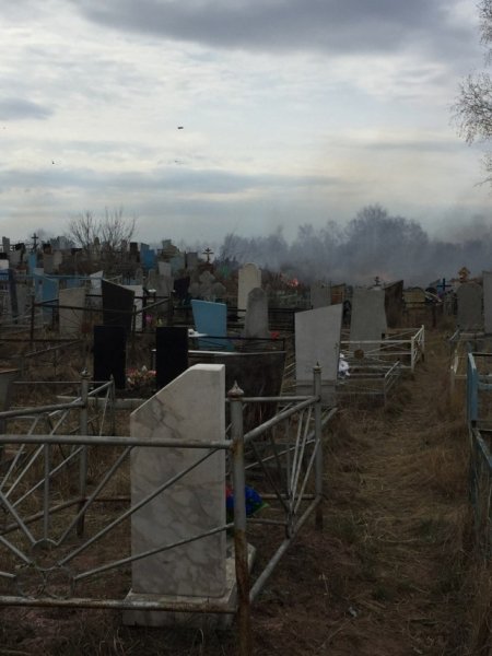 Пятерых жителей Рубцовска будут судить за «страшилки» на кладбище