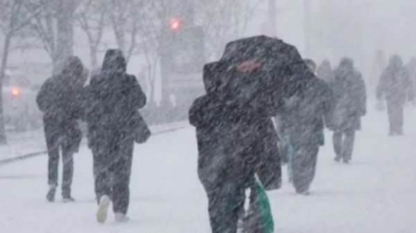 Жителей Алтайского края предупреждают о метелях и снежных заносах