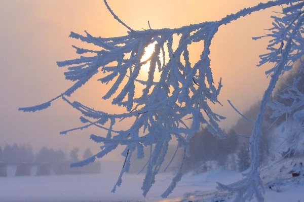 Погода 27 декабря в Алтайском крае: без осадков и до -28 градусов