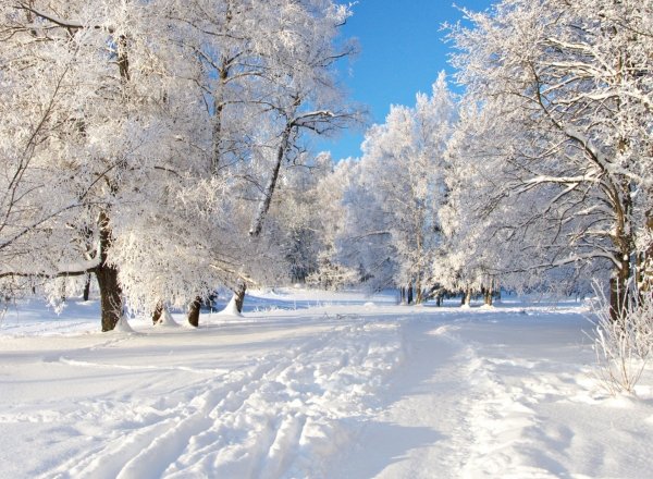 Погода 20 декабря в Алтайском крае: небольшой снег и потепление