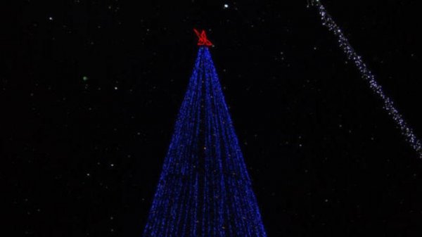Барнаульская новогодняя елка стала второй по высоте в России