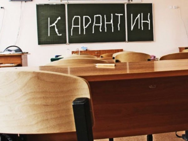 Карантин введен в нескольких школах и детсадах Алтайского края