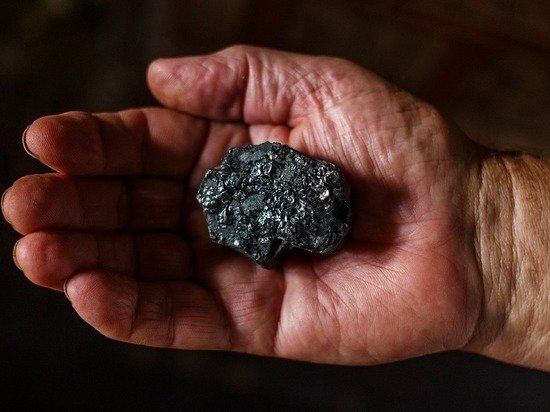 Правительство Алтайского края еще подкинет денег замерзавшему Яровому на уголь