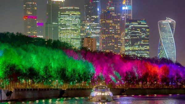 Половину бюджета Барнаула потратят на новогоднюю подсветку деревьев в Москве
