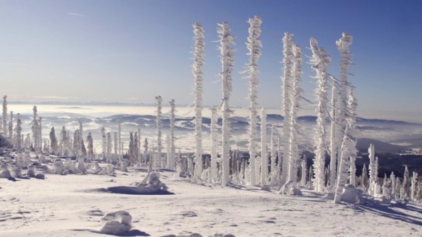 Синоптики рассказали, когда начнутся морозы в Алтайском крае