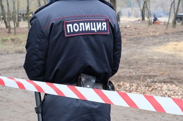 Житель Алтайского края избил женщину деревянной скамьей