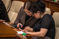 Алтайское Заксобрание на первой сессии-2020 «поправило» закон о выдаче земель инвесторам без торгов