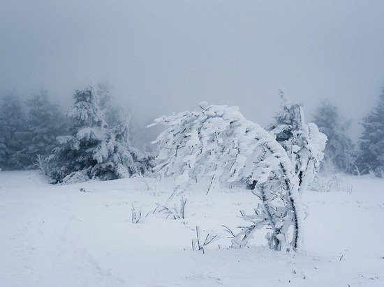 Метель и снежные заносы вновь угрожают Алтайскому краю
