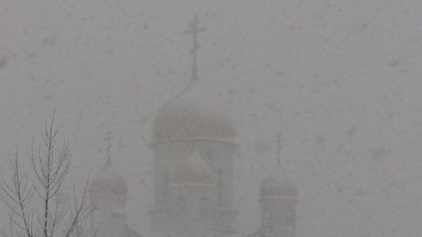 МЧС предупреждает: непогода возвращается в Алтайский край