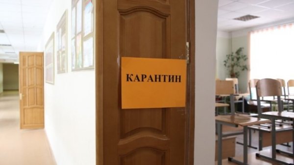 Еще шесть школ и пять детсадов закрыли на карантин в Алтайском крае
