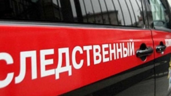 Следователи заинтересовались выгнанной из дома алтайской пенсионеркой