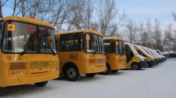 Школьники из 13 районов Алтайского края учатся на дому из-за заваленных снегом дорог