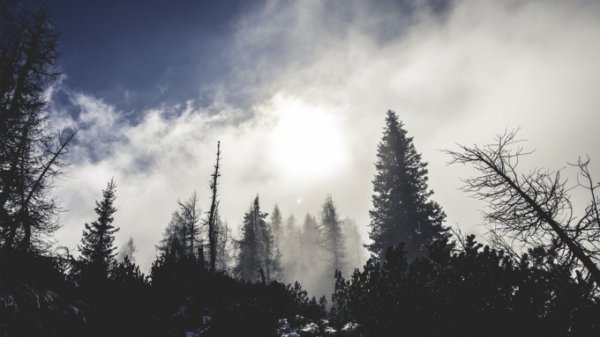Туман и гололед. Прогноз погоды в Алтайском крае на 5 января