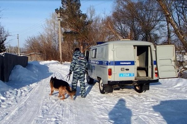 В Новоалтайске две несовершеннолетние девушки избили, а затем ограбили местную жительницу