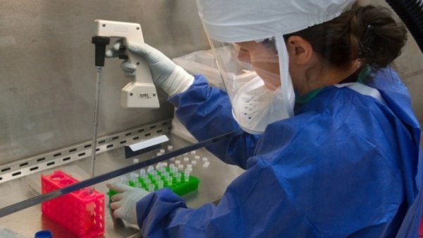 Алтайские медики рассказали, почему не стоит паниковать из-за коронавируса